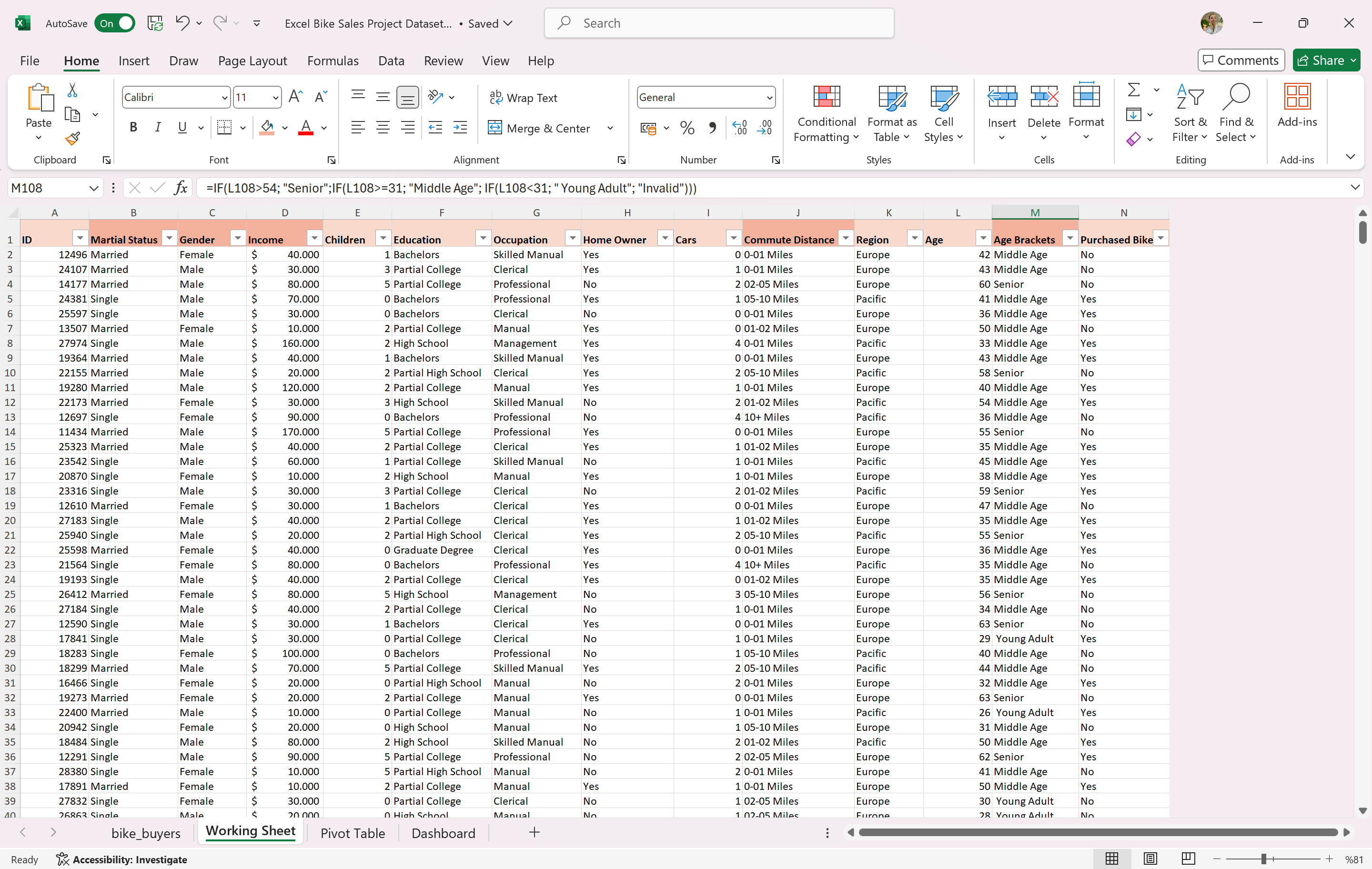 Excel Worksheet after Data Cleaning
